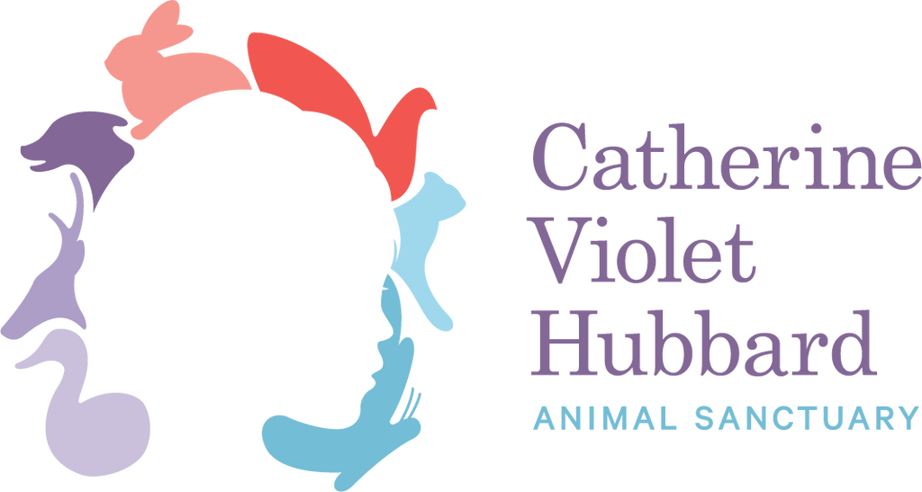 Catherine Violet Hubbard Foundation Testimonial for Givafifth